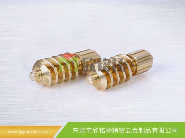 轉(zhuan)動(dong)蝸桿(gan)定製(zhi)